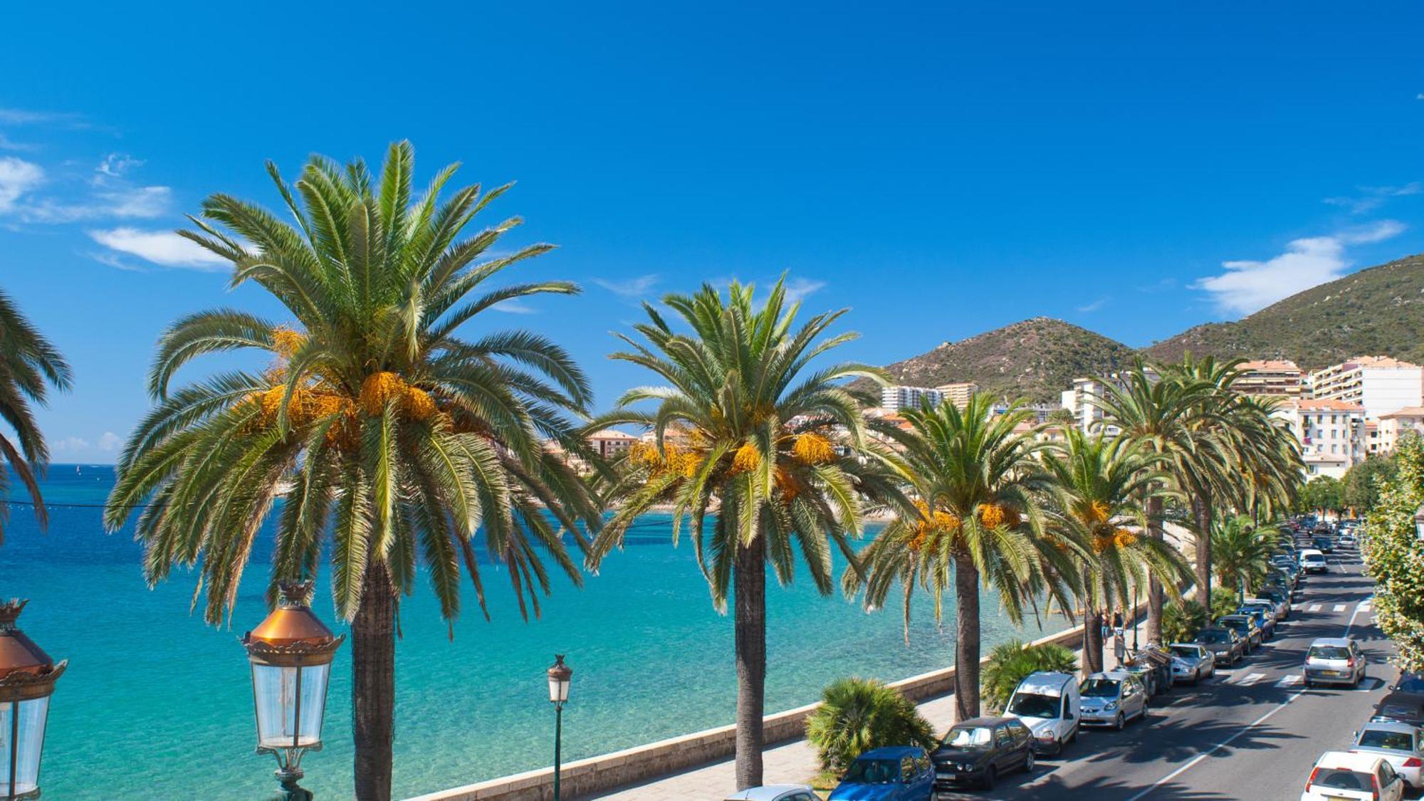 Evasion Corse - T2 Vue Mer, Piscine & Plage Ajaccio  Buitenkant foto