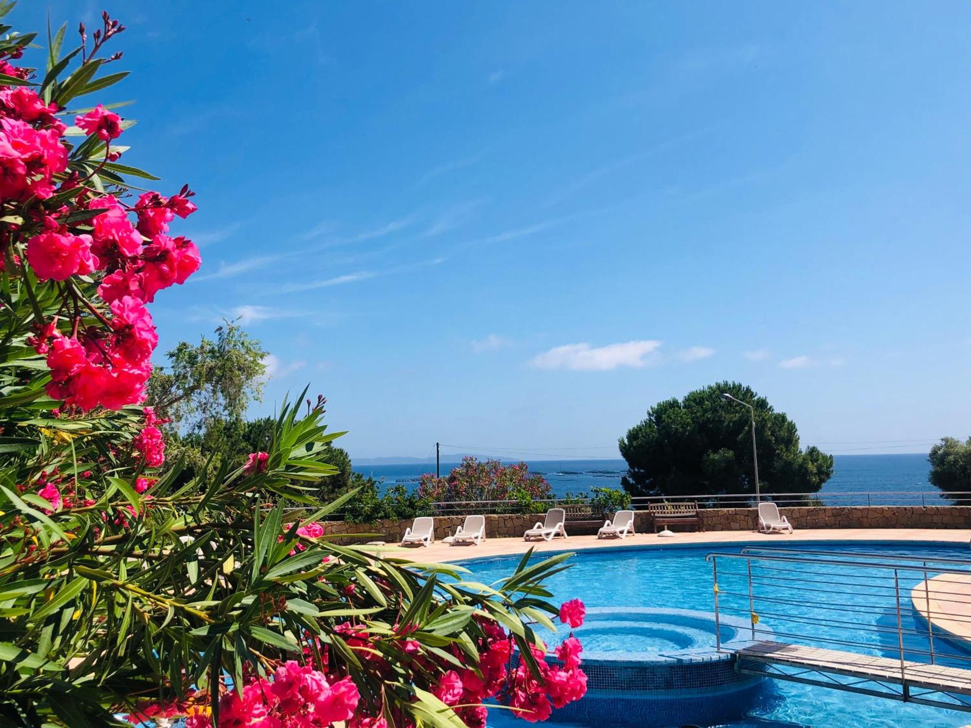 Evasion Corse - T2 Vue Mer, Piscine & Plage Ajaccio  Buitenkant foto