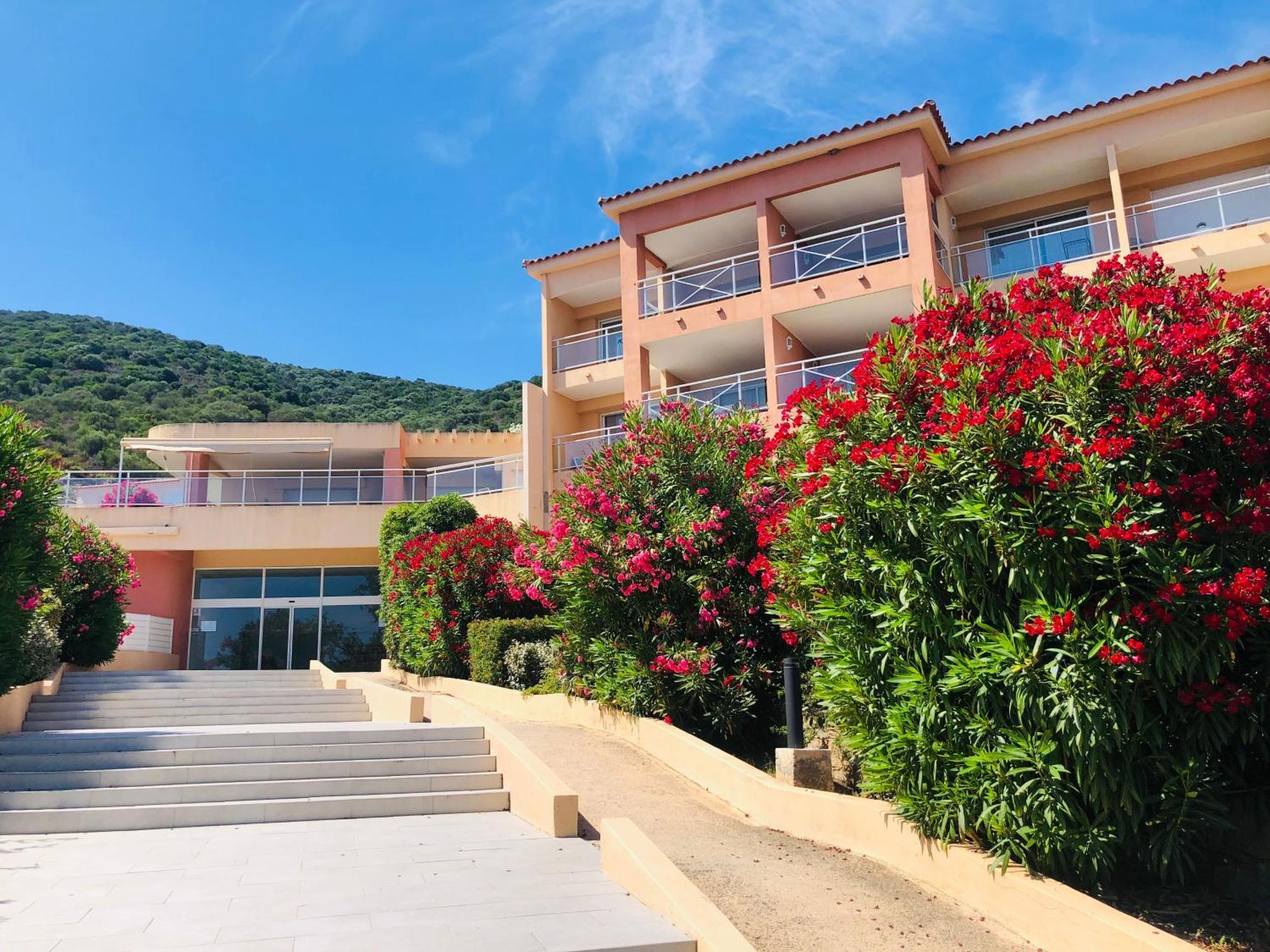 Evasion Corse - T2 Vue Mer, Piscine & Plage Ajaccio  Buitenkant foto